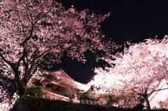夜桜と鐘撞堂