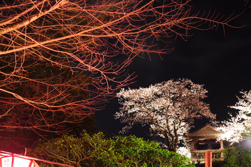 春の夜