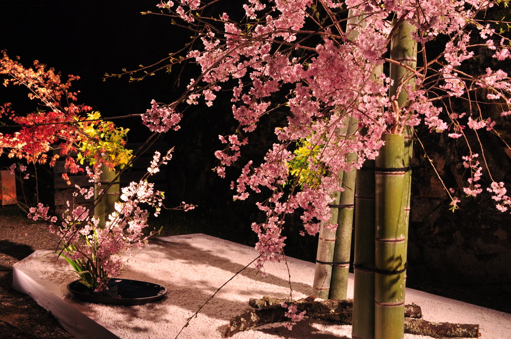 高知城　花回廊