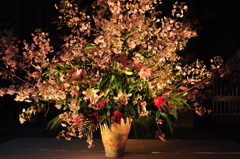 高知城　花回廊