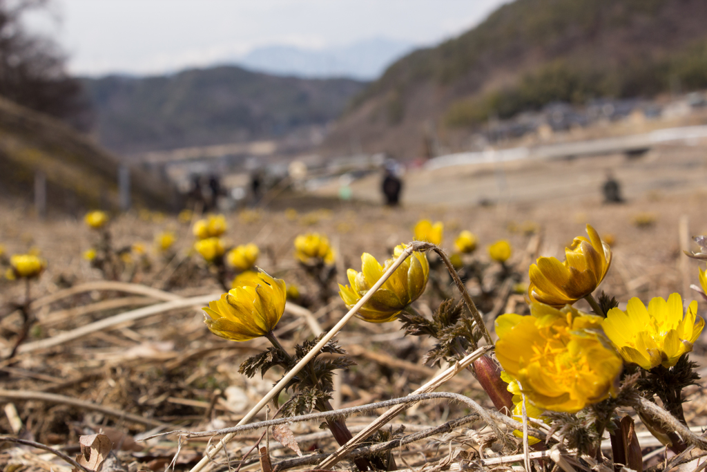 Happy!spring!