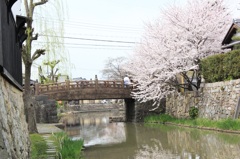 桜橋