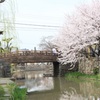 桜橋