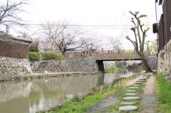 桜橋②