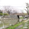 桜橋②