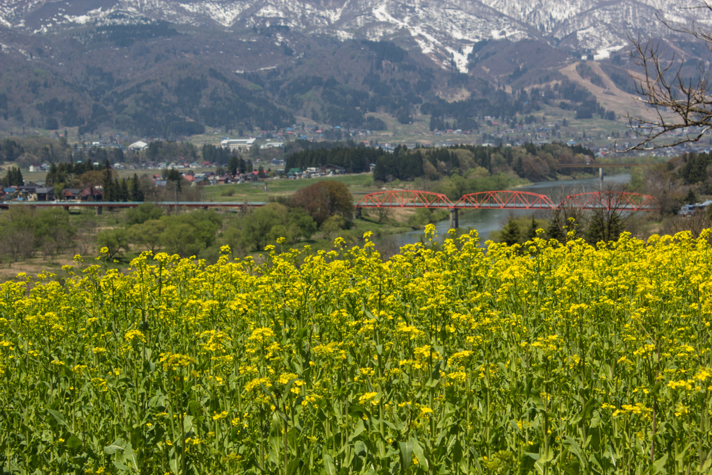 飯山の風景