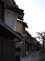 resiseP4020788