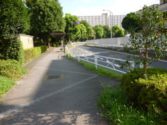 hikarigaoka2