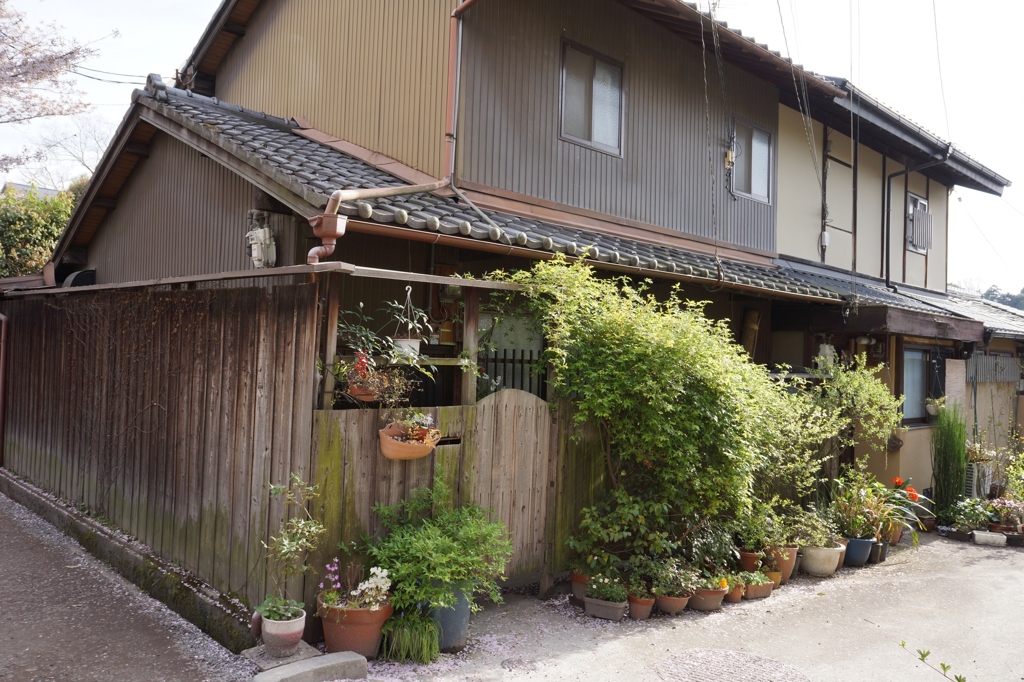 哲学の道・春＃１６