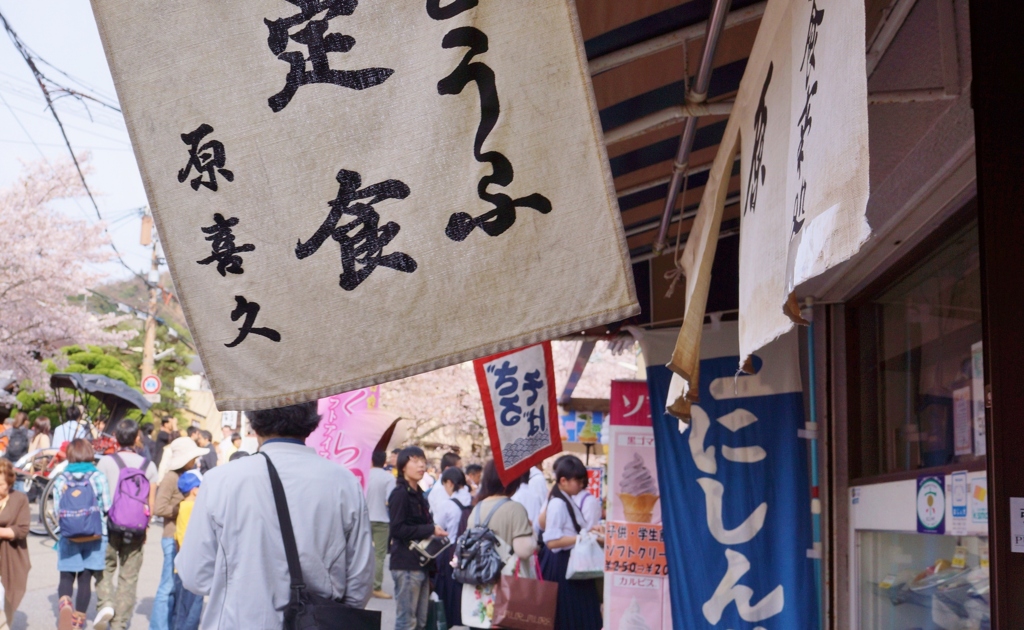 哲学の道・春＃3
