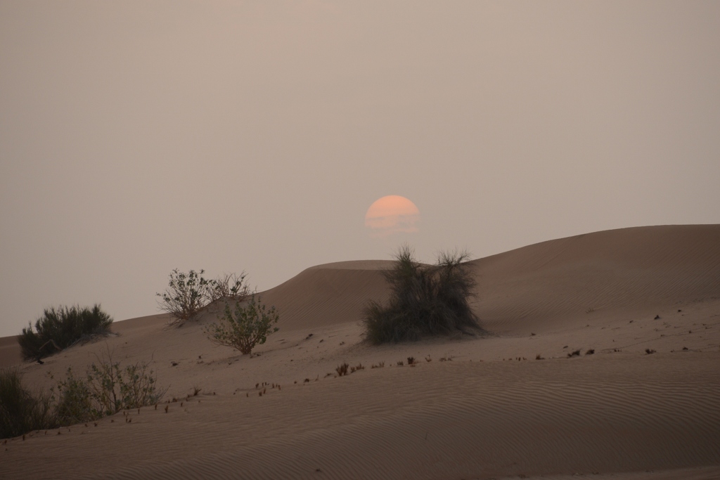 砂漠に沈む夕日