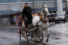 馬車