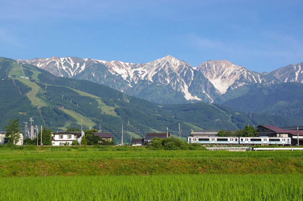 初夏の白馬村