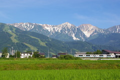 初夏の白馬村