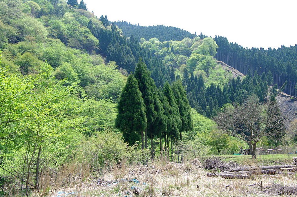 春の湖西