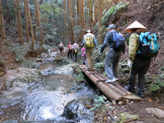 高野山への道