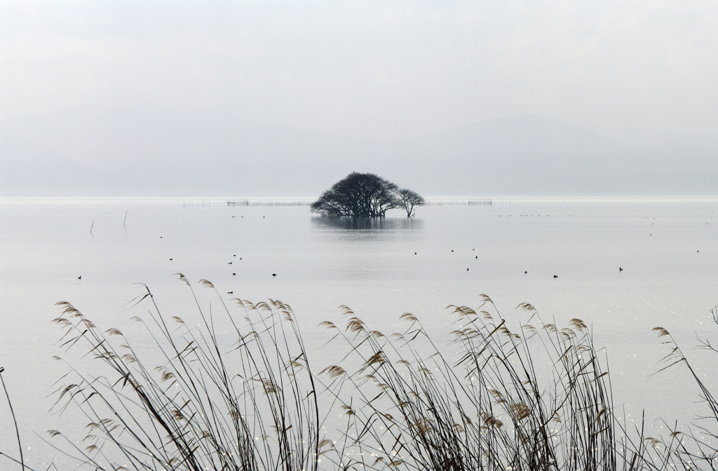 冬の湖