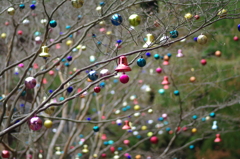 クリスマス