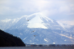 冬の伊吹山