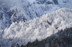 樹氷の山