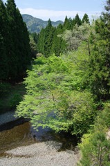 春の湖西