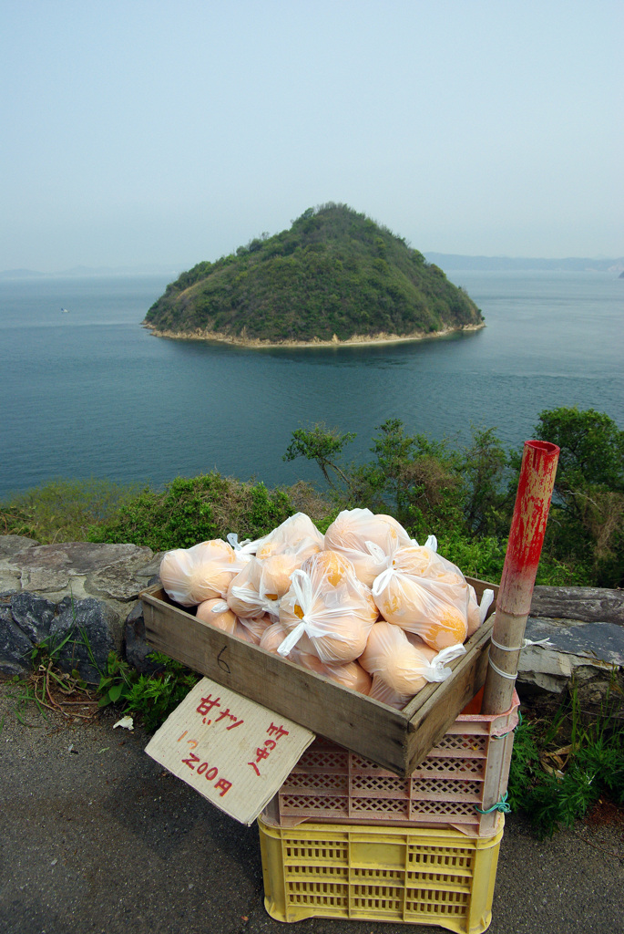 無人販売所