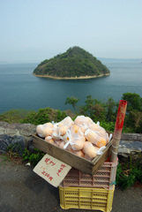 無人販売所