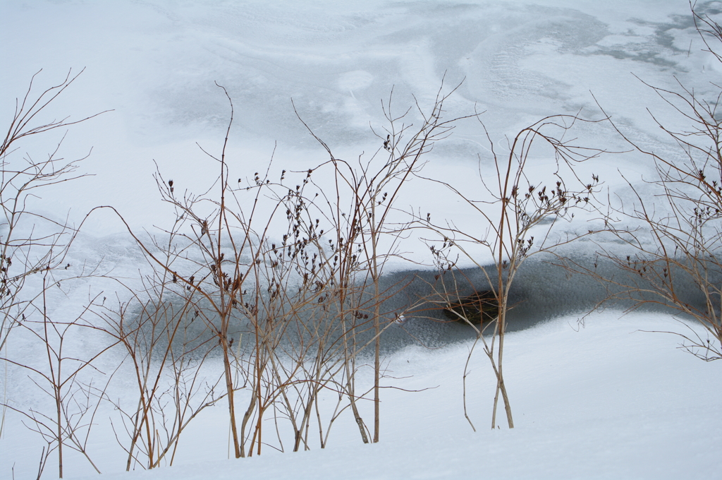 雪景色