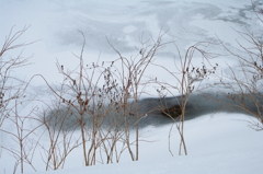 雪景色