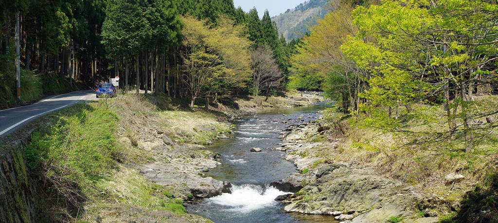 春の湖西