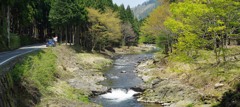 春の湖西