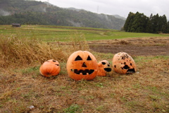 ハロウィン
