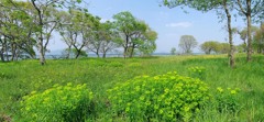 春の琵琶湖畔にて
