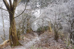 冬の山道