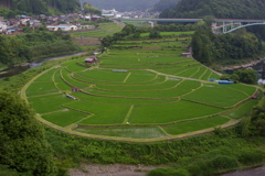 あらぎ島
