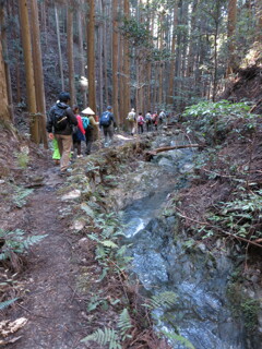 高野山への道