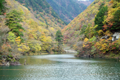 ダム湖の秋