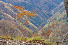 紀伊半島の秋