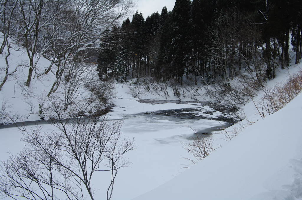 雪景色
