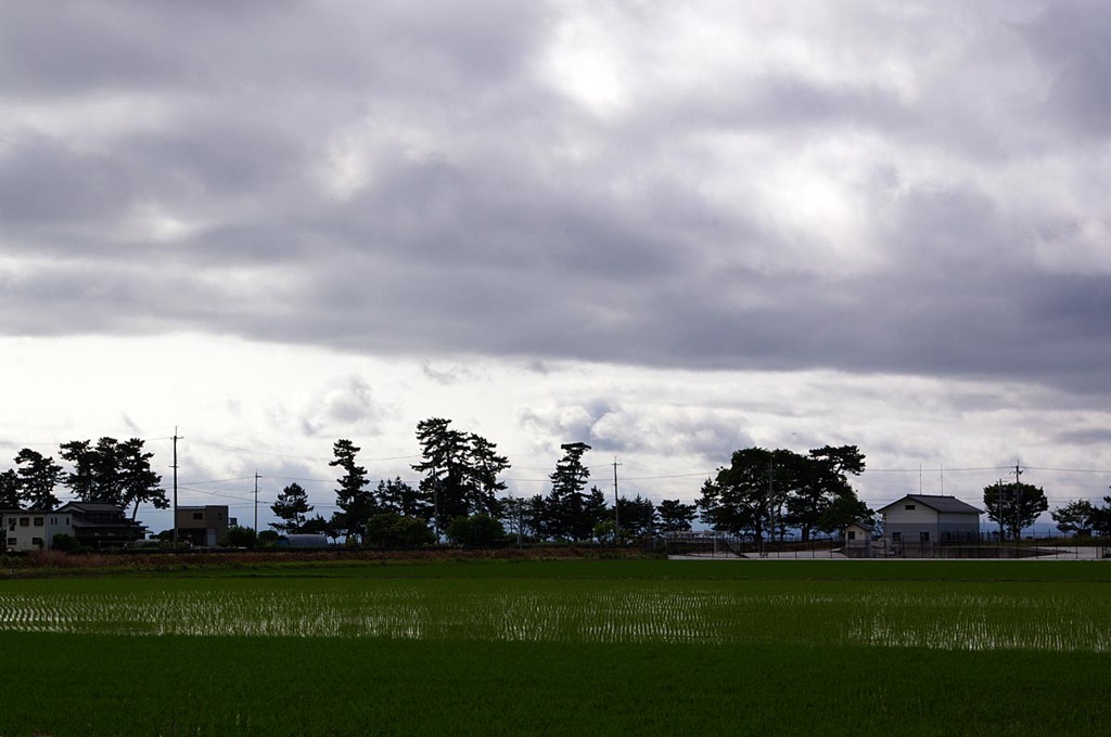 雲