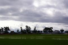 雲