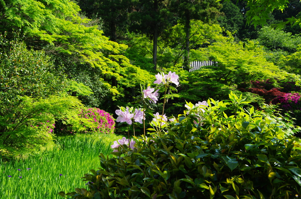 春の庭園