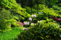 春の庭園