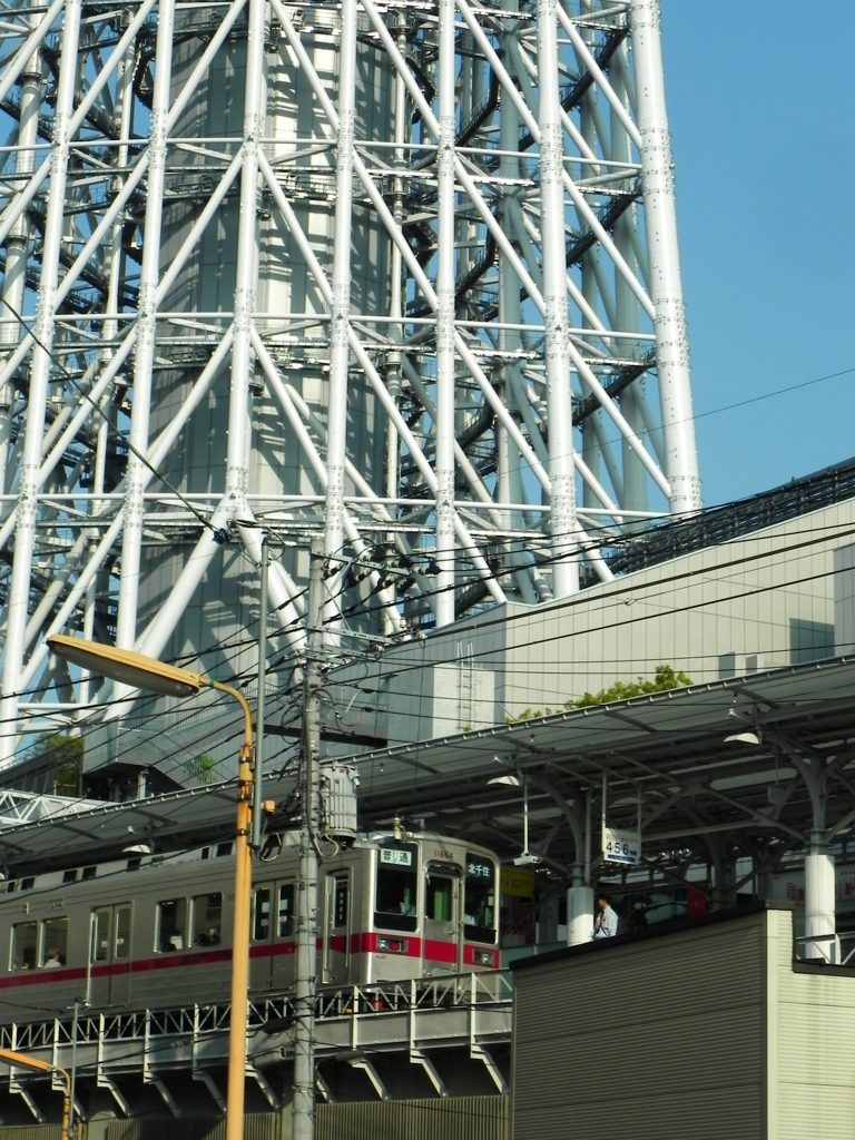 シンボルを臨む列車