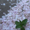 両手に花