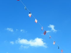 上の空の運動会