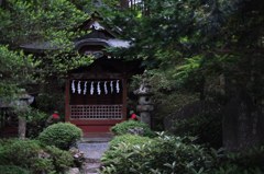 S_DSCF4377