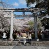 春の賑わい