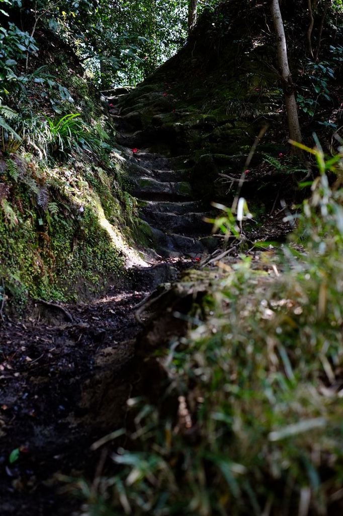 山道