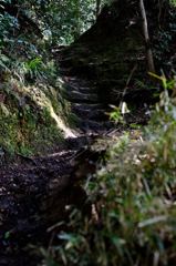 山道